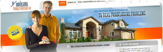Housing Foreclosures Web Design Example small